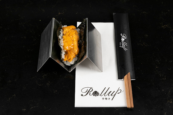 Rollup-250810DD4_8056