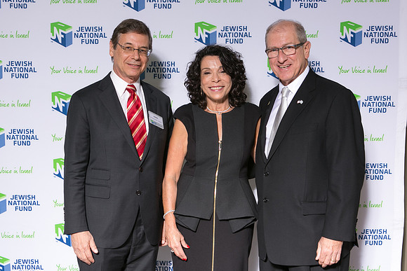 JNF_2016_09__TK_3100