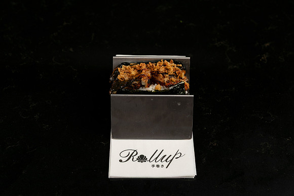 Rollup-250810DD4_7824
