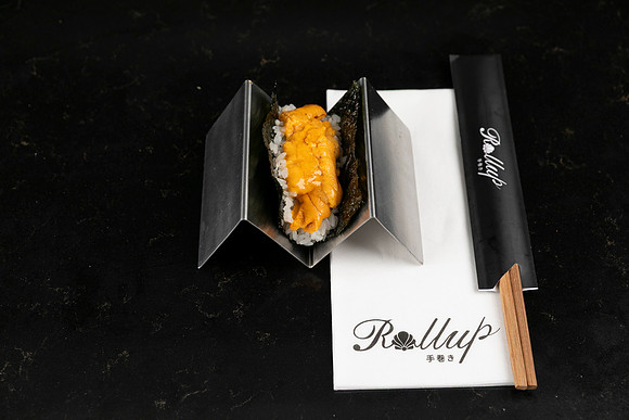 Rollup-250810DD4_8058