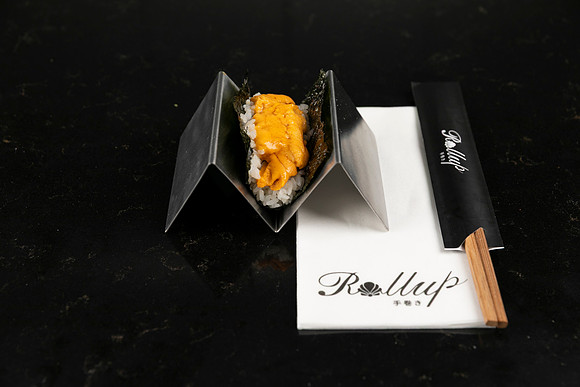Rollup-250810DD4_8059