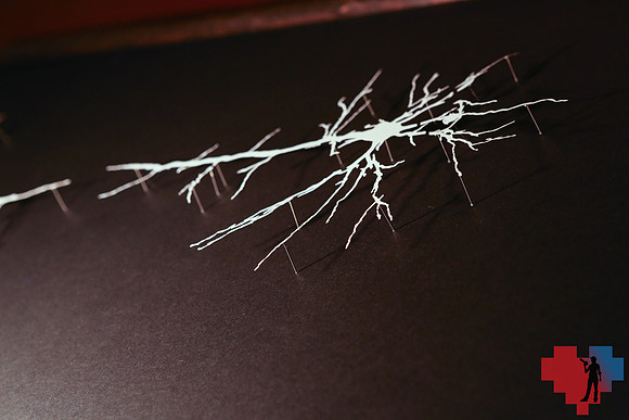 STK_9634