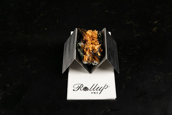Rollup-250810DD4_7829