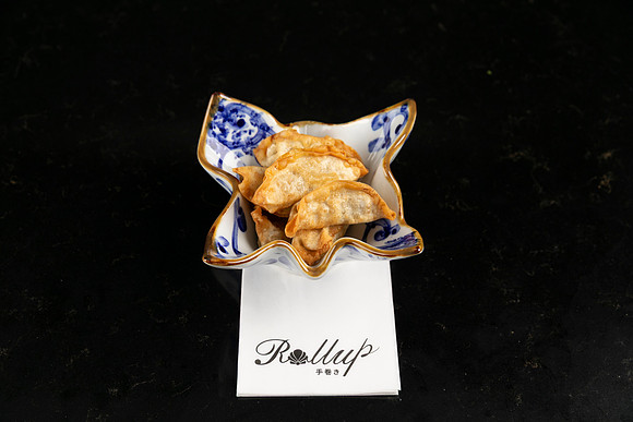 Rollup-250810DD4_7944
