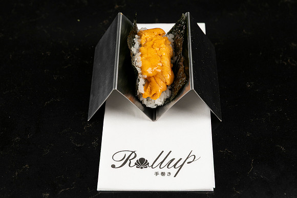 Rollup-250810DD4_8061