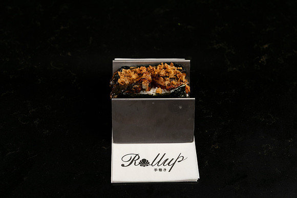 Rollup-250810DD4_7825