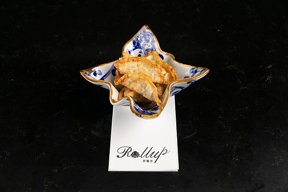 Rollup-250810DD4_7945
