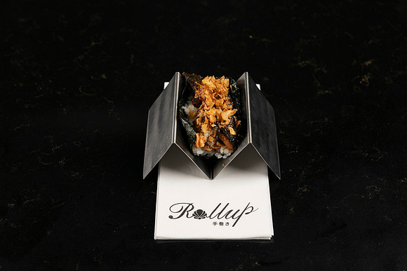 Rollup-250810DD4_7828