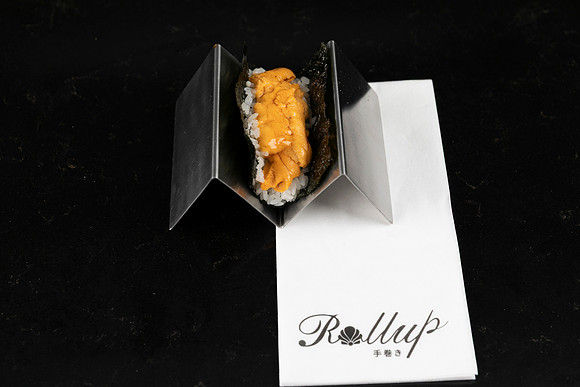 Rollup-250810DD4_8050
