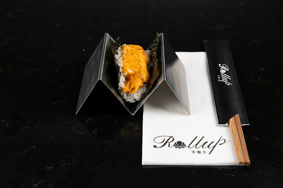 Rollup-250810DD4_8060