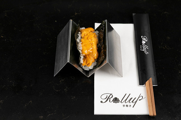 Rollup-250810DD4_8057